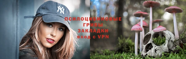 метадон Медногорск