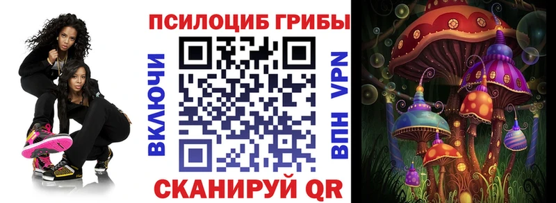 Псилоцибиновые грибы Cubensis  закладка  ссылка на мегу сайт  Осташков 